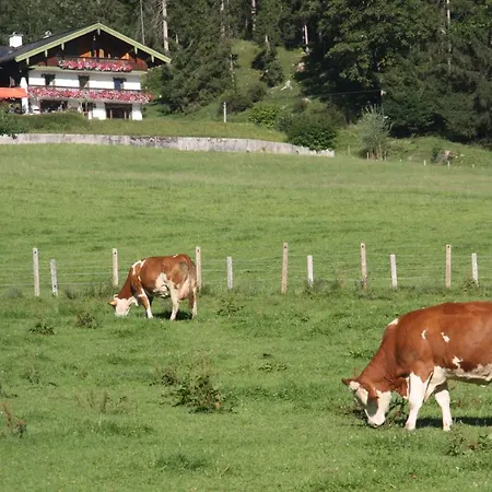 Gipfelglueck Bischofswiesen
