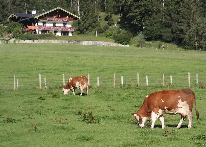 Gipfelglueck Bischofswiesen